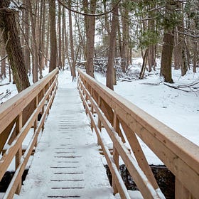 ‘People just love it’: Winter hiking a popular pastime along trails in Halton Hills
