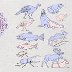 The Sex Binary vs. Sexual Dimorphism