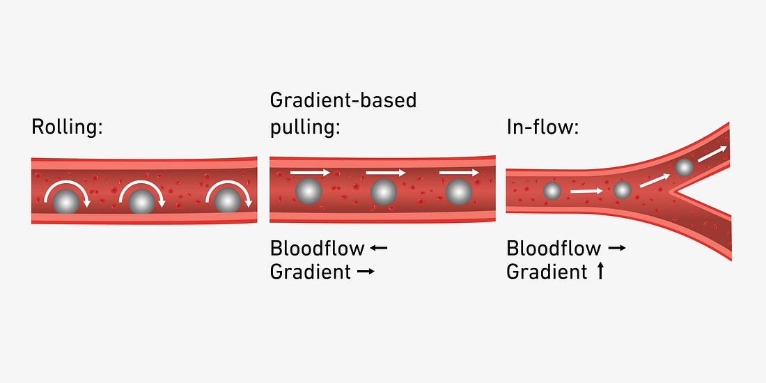 A graphical representation of the navigation options in a blood vessel. On the far left, the micro-robot moves by rolling; in the middle, gradient-based pulling is used; and on the far right, in-flow navigation is used at a junction.