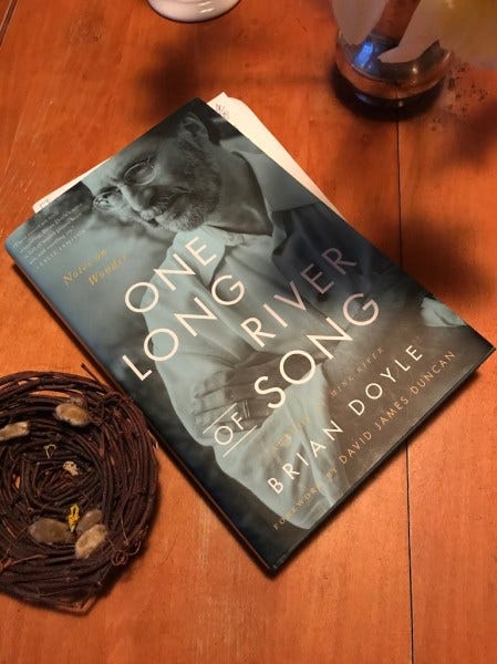 brian doyle long river brian doyle long river