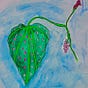 What's That Plant?!'s avatar