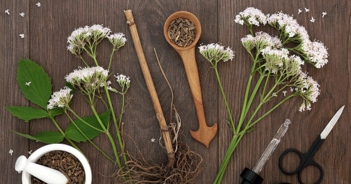 Valerian root
