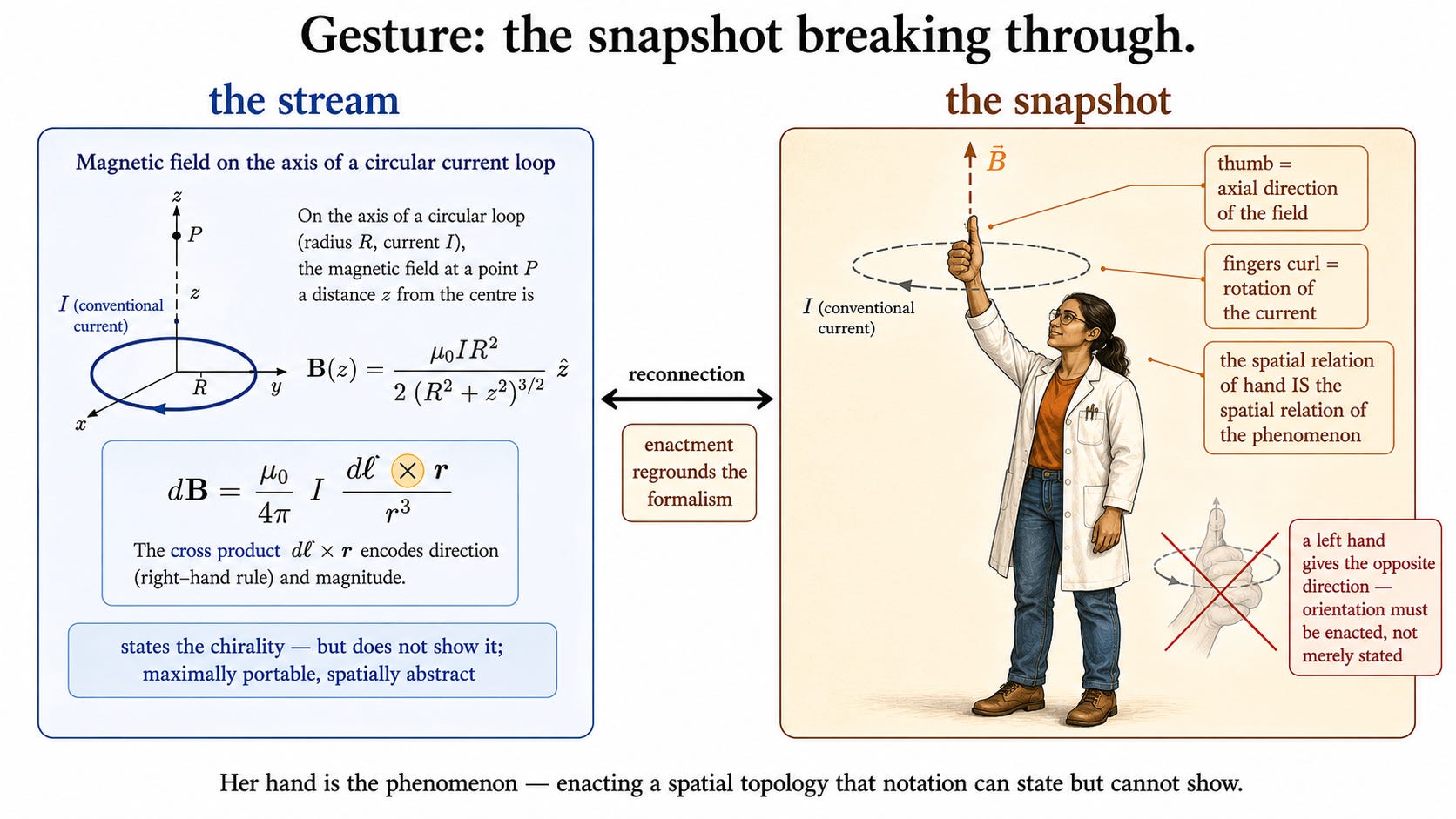 A split-but-joined composition contrasting stream and snapshot. On the left, "the stream": an equation panel for the magnetic field of a current loop with a cross-product symbol highlighted, tagged "states the chirality — but does not show it". On the right, "the snapshot": a whole embodied scientist with her right hand raised in the right-hand-rule pose — fingers curling along a faint circular current loop, thumb extended up through the centre along a labeled magnetic-field axis, tagged "fingers curl = rotation of the current" and "thumb = axial direction of the field". A crossed-out mirror-image ghost hand is tagged "a left hand gives the opposite direction — chirality is real". A bridging two-way arrow labeled "reconnection" runs from the equation to the gesturing hand.