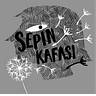 Sepin Sinanlıoğlu - Poetika
