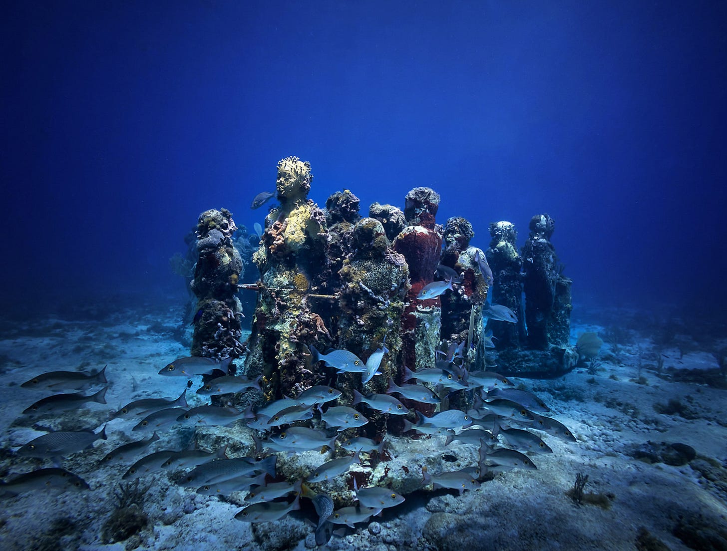 Fotografía de Diana Buzoianu en los Sony World Photography Awards