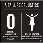 The Law’s Persistent Blind Spot