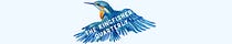 The Kingfisher Quarterly