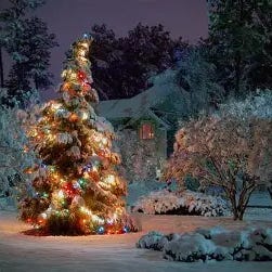 The Substack Christmas Story Advent Calendar