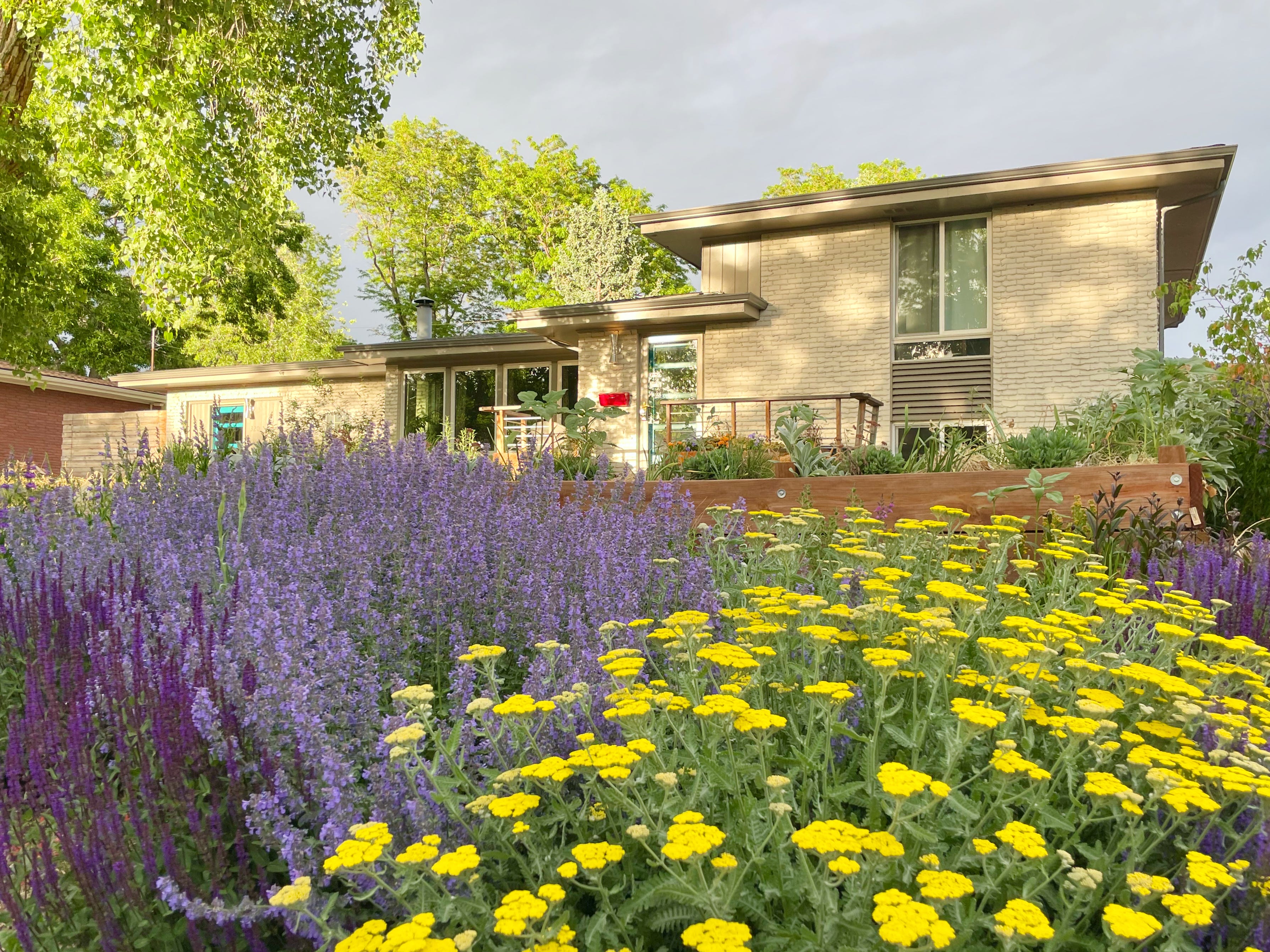Fire-Resistant Plants Every North American Gardener Should Know