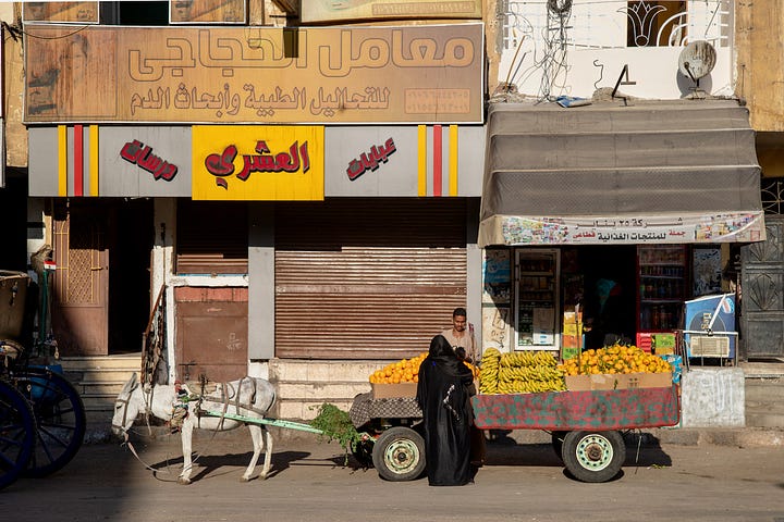 Top left: A narrow street in Luxor with apartment buildings, parked cars, and hanging textiles, with a Coptic church dome visible above the rooftops Top right: A woman in a black abaya buying fruit from a donkey-drawn cart loaded with oranges and bananas, parked in front of shuttered shopfronts Bottom right: A young man sitting inside a small vegetable stall framed by a green wall covered in Arabic calligraphy and religious posters, with piles of tomatoes, eggplant, and potatoes in the foreground Bottom left: A butcher in a blue plaid shirt bending over a cow's head on a cutting board, with a leg hanging from a hook and a Champions football poster on the red door behind him
