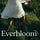Everbloom Collective
