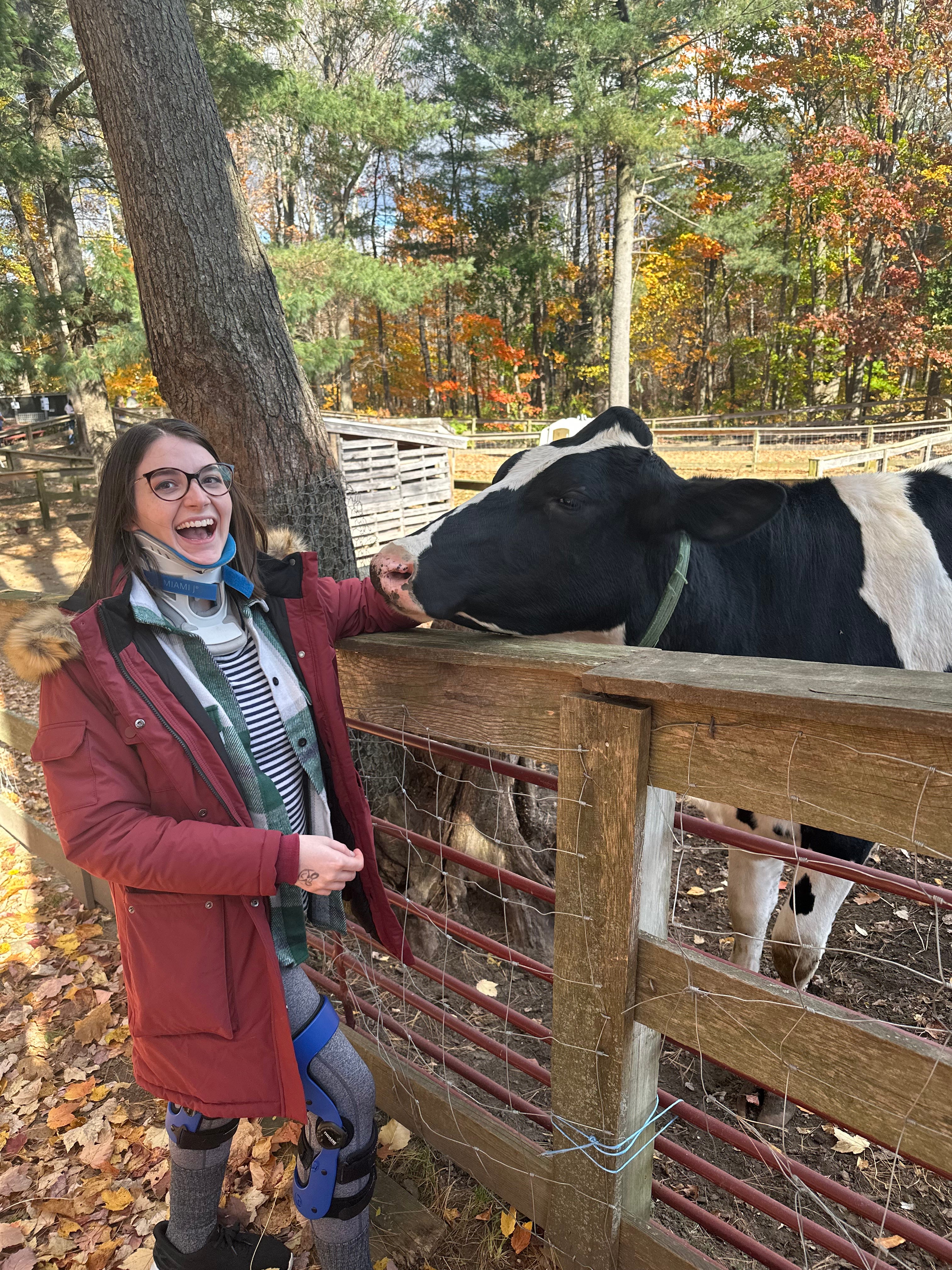 Artwork for Persistent Horrors Survivor