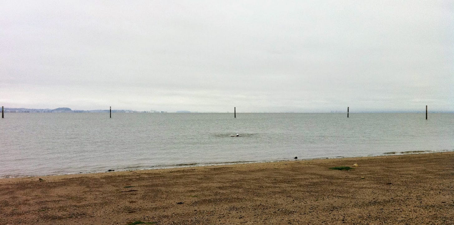 photo of a beach and calm water, grey sky, four pilings in the distance, and a swimmer in the middle distance