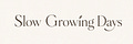 Slow Growing Days