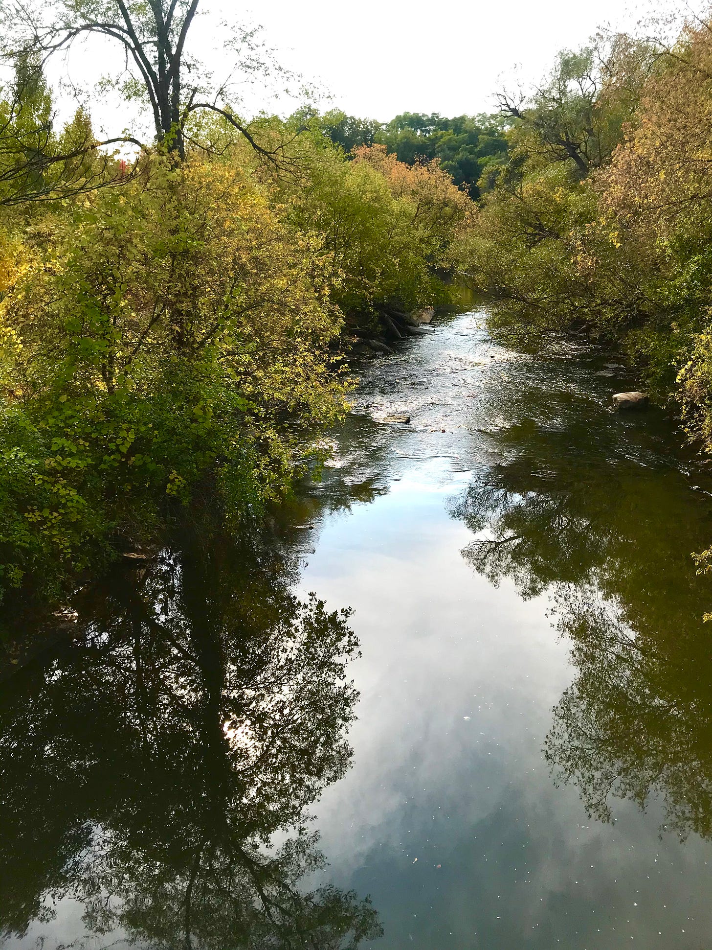 Reflection of a tree on the Don River, tiny rapids and early fall colours. Reflection of a tree on the Don River, tiny rapids and early fall colours.