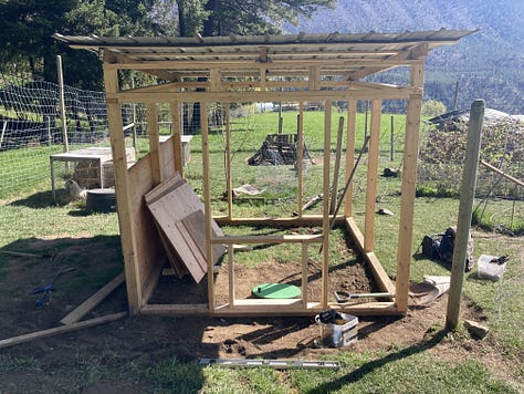 building a duck house