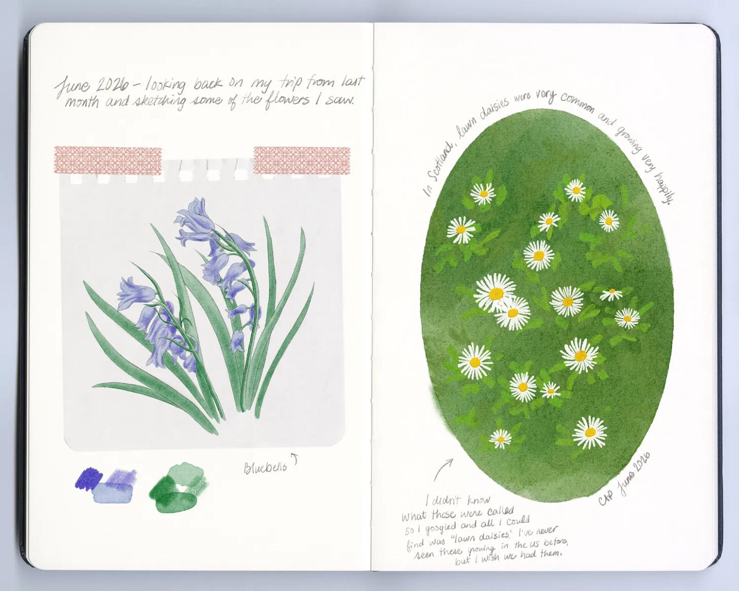 An open sketchbook spread with sketches of flowers.