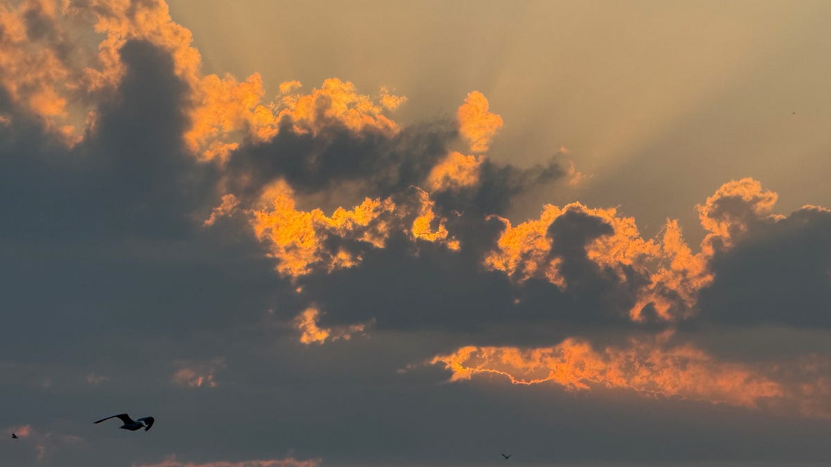 Speaking in Light, Walking Towards the Dawn - by Alan Seale