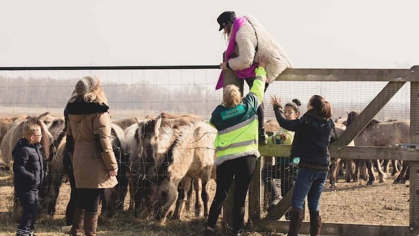 Honderden demonstreren tegen dierenbeleid Oostvaardersplassen | Binnenland  | NU.nl