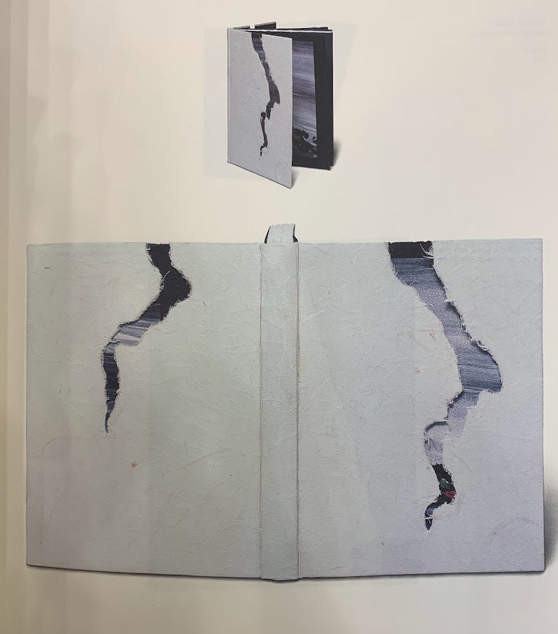 white cloth boards with an artful tear in the shape of an icicle or ice crack, revealing streaked gray and blue endpapers beneath white cloth boards with an artful tear in the shape of an icicle or ice crack, revealing streaked gray and blue endpapers beneath