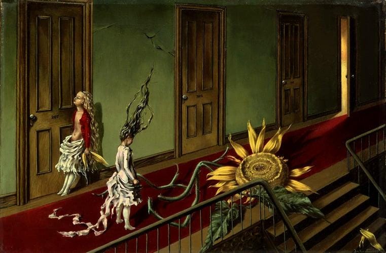The Museum of Doors | The Museum of Cats by GennaRose Nethercott