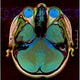 Out of Its Wooden Brain