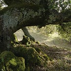 Adventures in the Otherworld