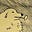 Tusitala's avatar