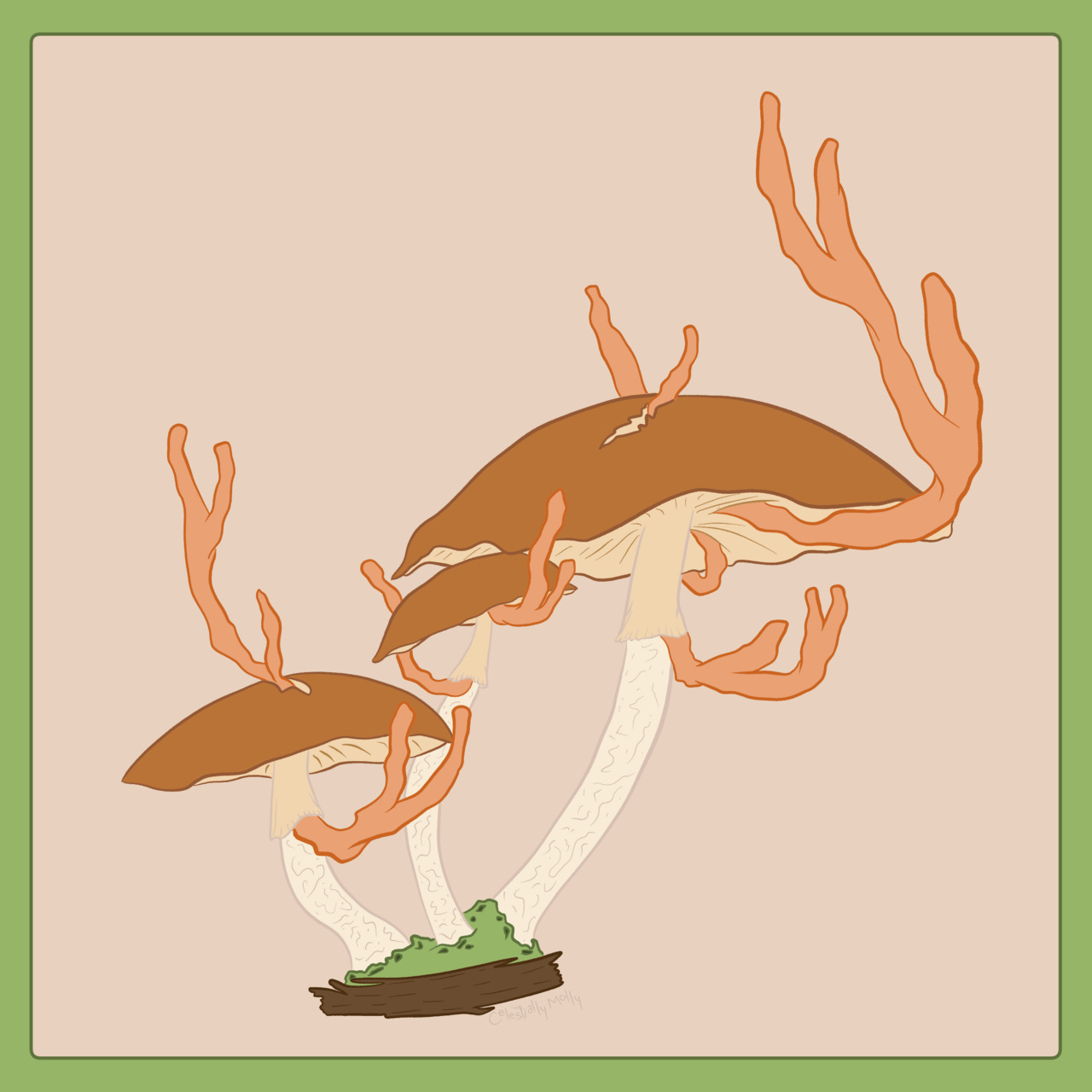 Stories From the Dark