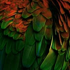 Algorithmic Mutation