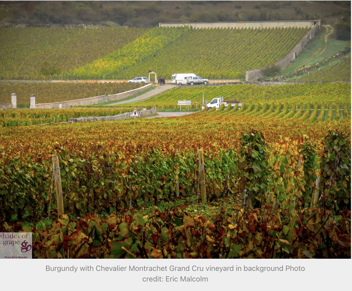French wine: Bourgogne et Beaujolais