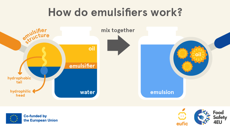 What are emulsifiers and what are common examples used in food? | Eufic What are emulsifiers and what are common examples used in food? | Eufic