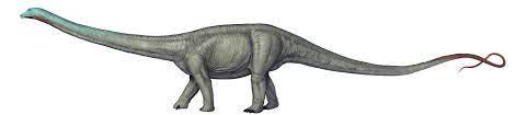 Diplodocus longus - Dinosaur National Monument (U.S. National Park Service) Diplodocus longus - Dinosaur National Monument (U.S. National Park Service)