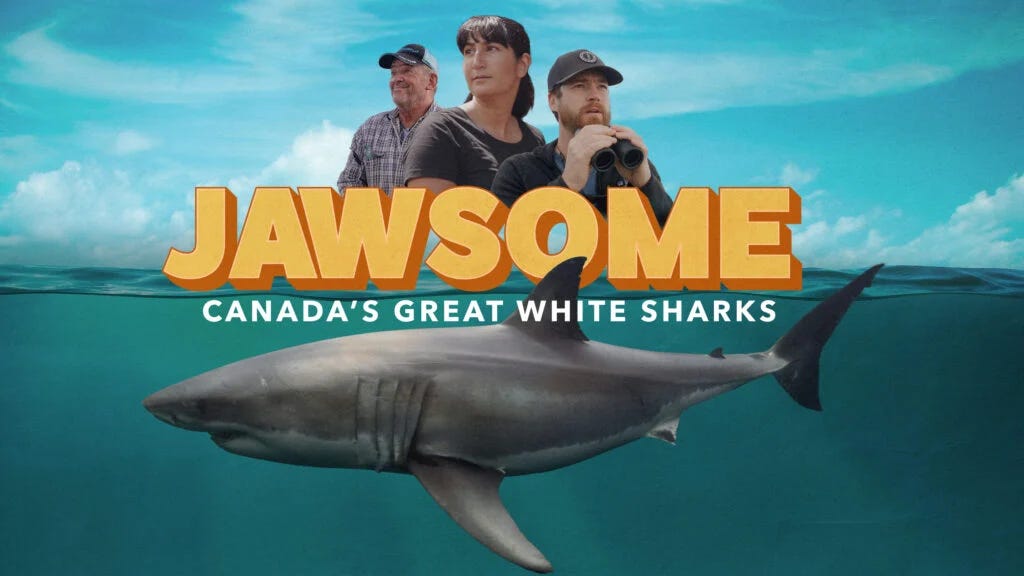 3 scientists/filmmakers pictured with a great white shark below the surface. JAWSOME: Canada's Great White Sharks is centred.