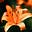 Lily Dayton's avatar