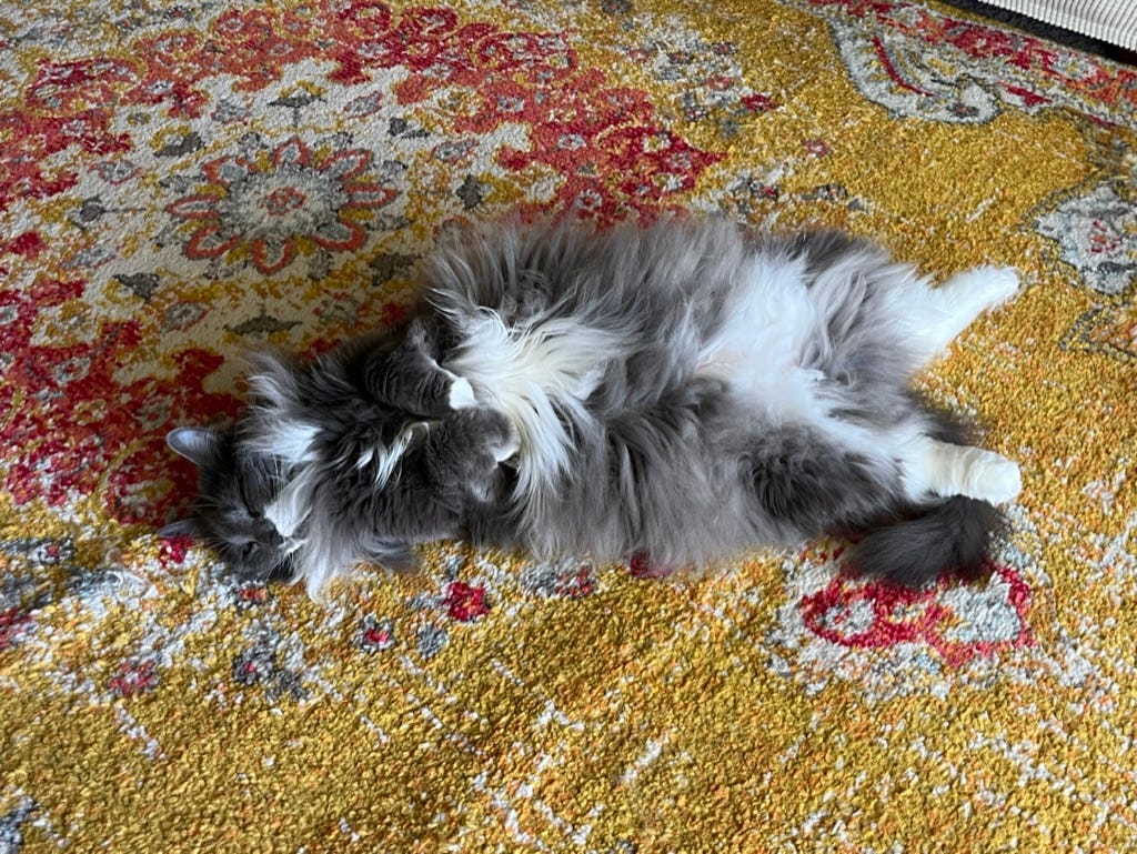 Delilah