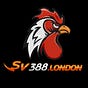 SV388's avatar