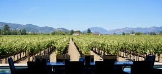 View when tasting ADV wines View when tasting ADV wines