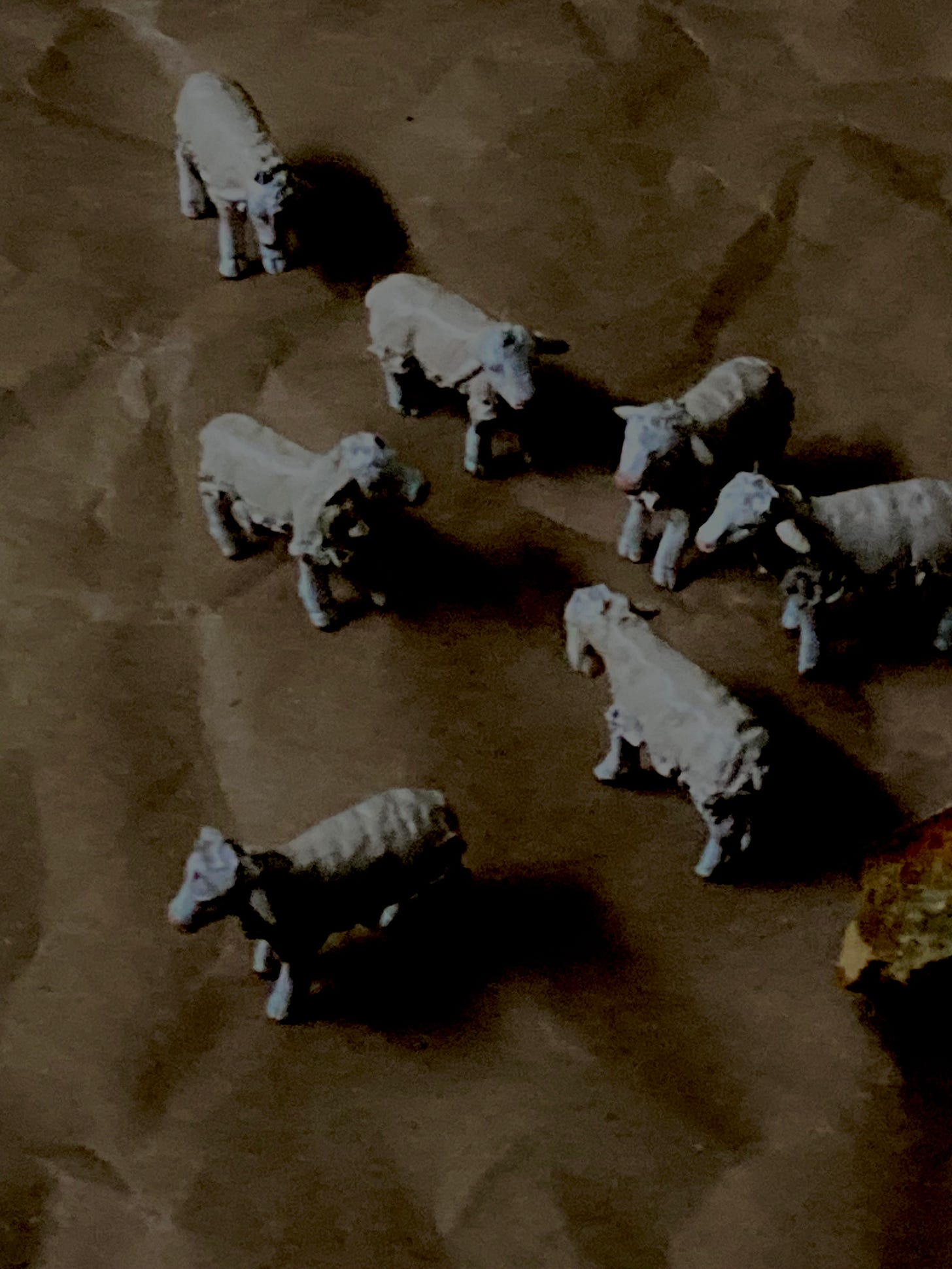 A group of toy animals on brown paper

Description automatically generated