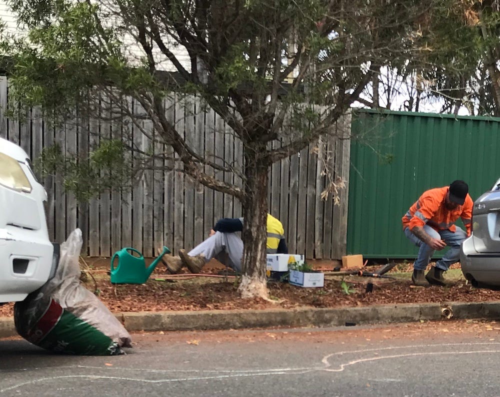 Photo of workers planting Photo of workers planting