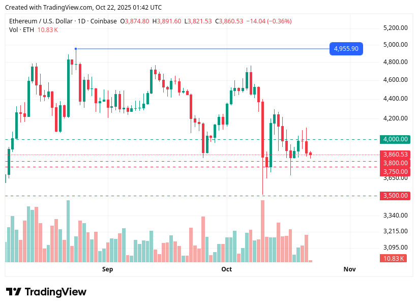 TradingView chart TradingView chart
