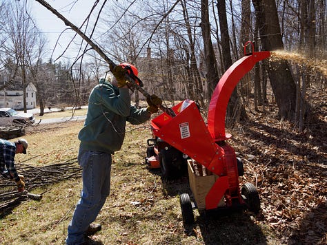Old guys clearing brush