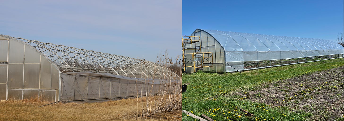 Valhalla high tunnel before and after repairs
