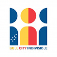 Bull City Indivisible's avatar