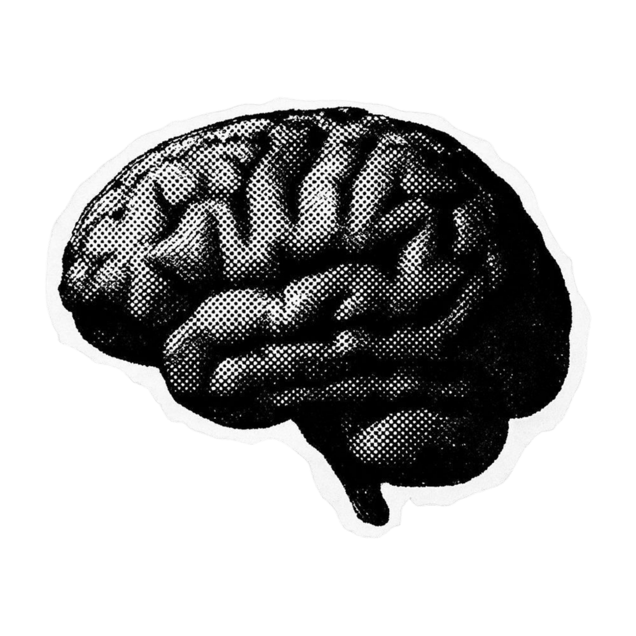 Productivity Headquarter's