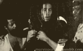 https://media.giphy.com/media/C5MS0j0f1gQsU/giphy.gif
