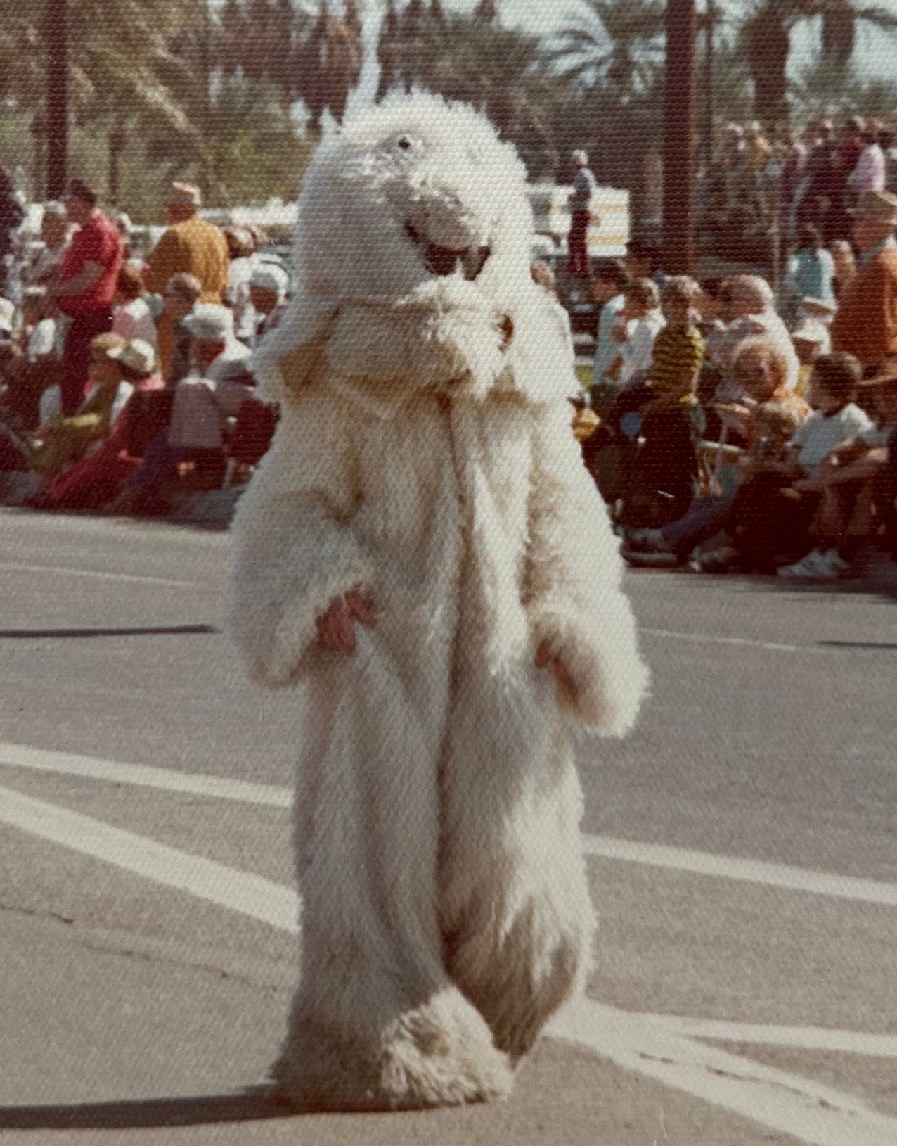 A person in a white furry suit fully covering their face and head walks down a street lined with spectators in a parade in the 1970s A person in a white furry suit fully covering their face and head walks down a street lined with spectators in a parade in the 1970s