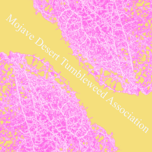 Mojave Desert Tumbleweed Association