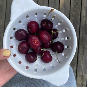 Recently Enjoyed Things | August 30, 2024