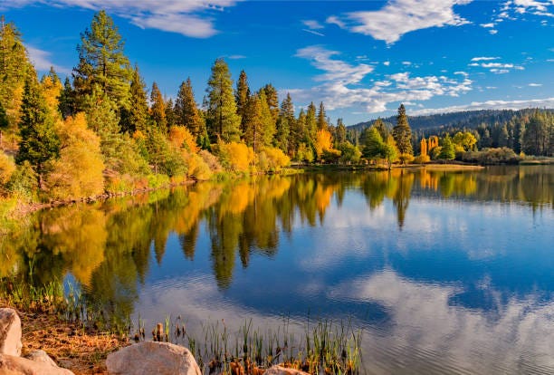 Autumn view of Lake Arrowhead with calm water reflecting colorful fall foliage and tall pine trees along the shoreline. Golden and orange leaves contrast against the deep green forest and bright blue sky with scattered clouds, creating a serene mountain landscape.